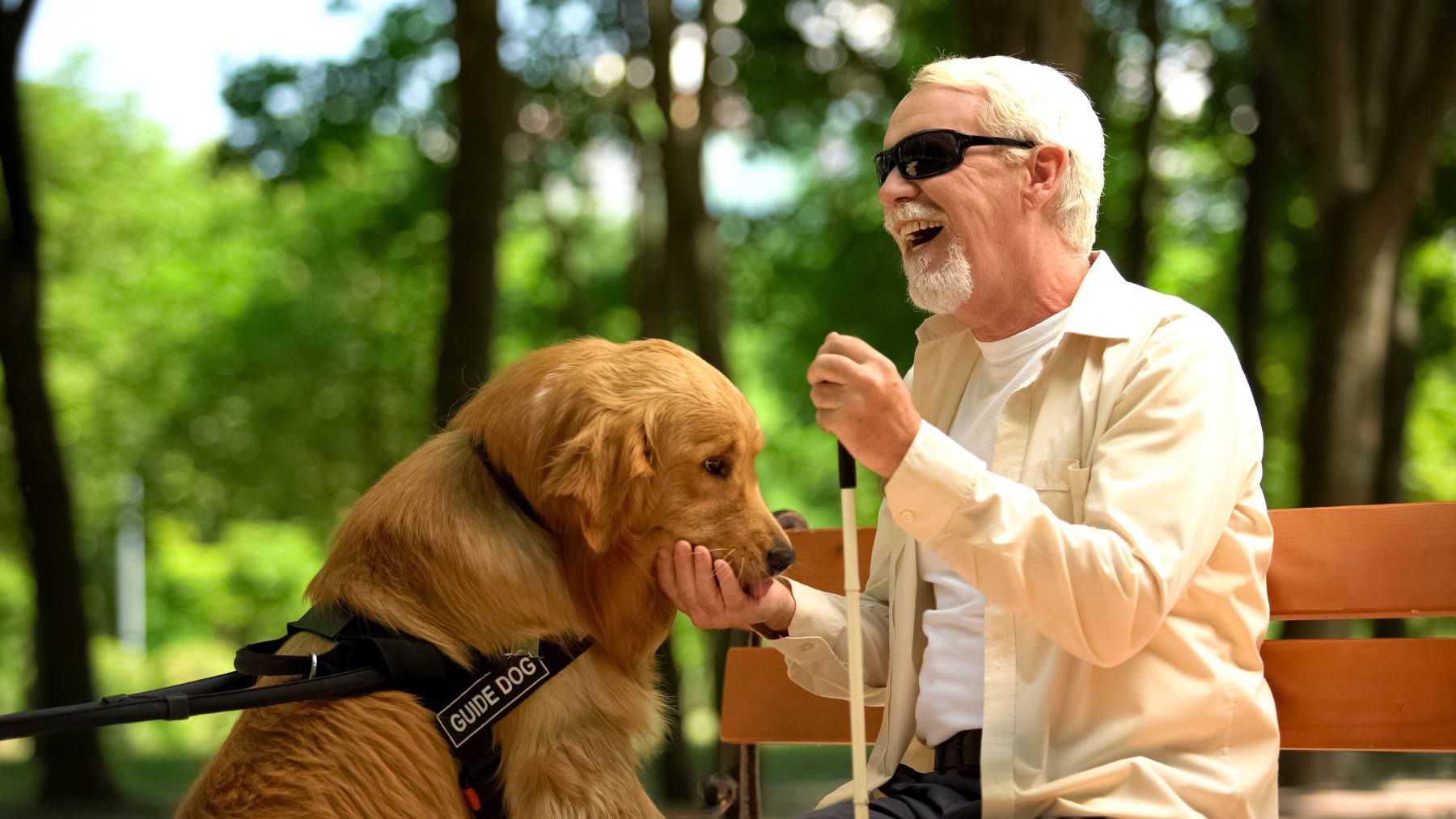 Positive blind man feeding guide dog