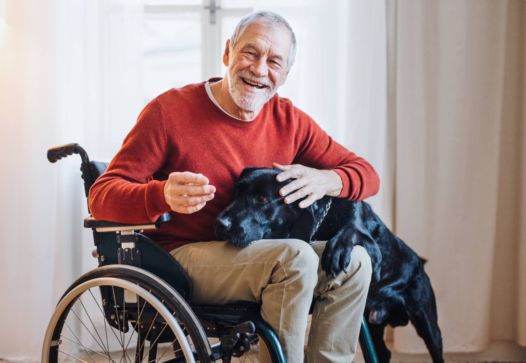 wheelchair indoors playing with a pet dog